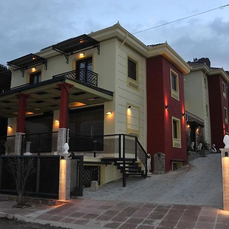 Dominique Meteora House Daire Kalampáka Dış mekan fotoğraf