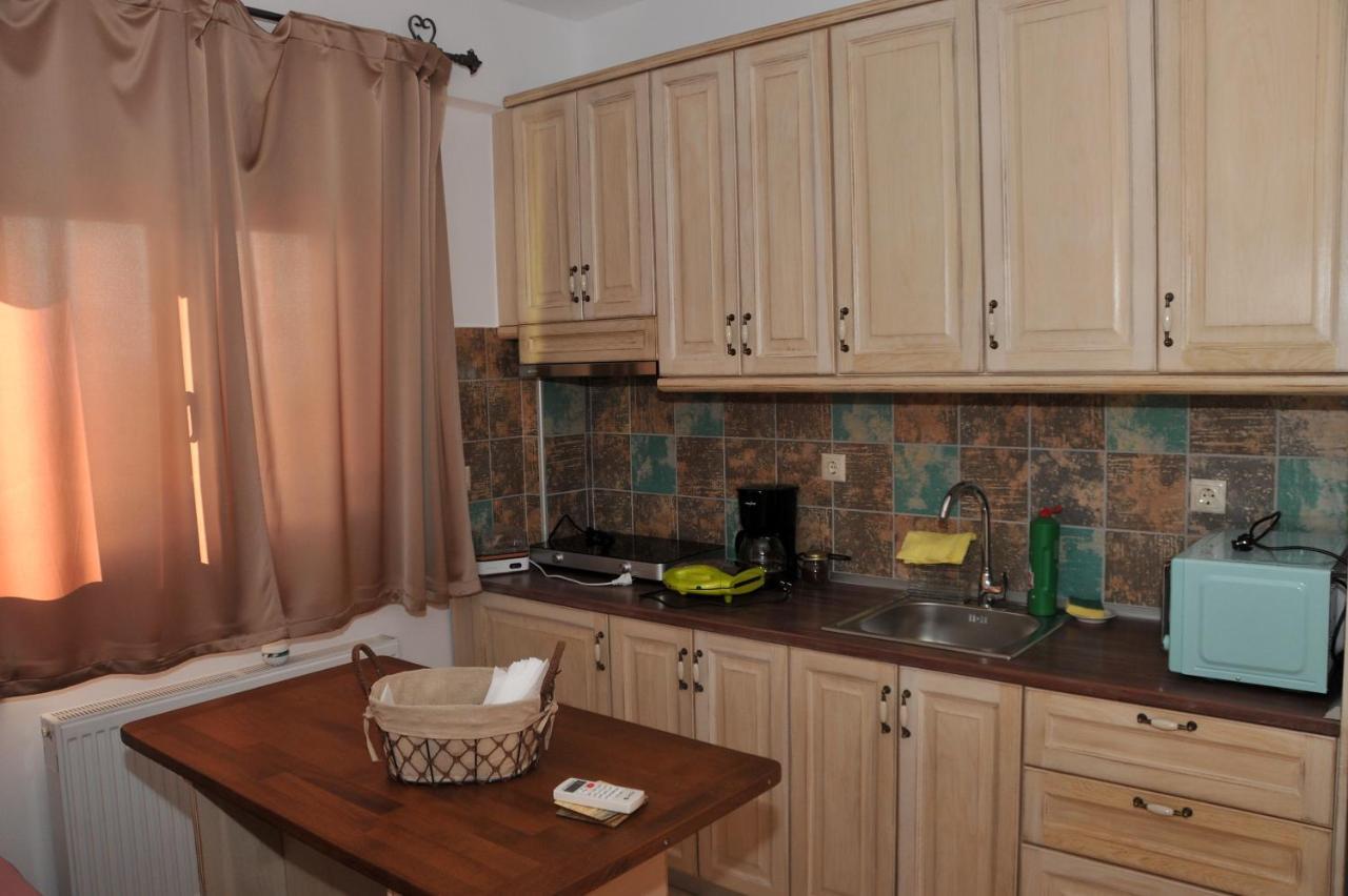 Dominique Meteora House Daire Kalampáka Dış mekan fotoğraf